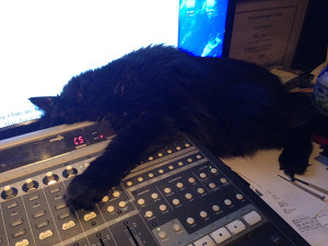 Knodd is exhausted from mixing 680